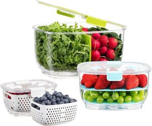 Best Storage Containers For Refrigerator